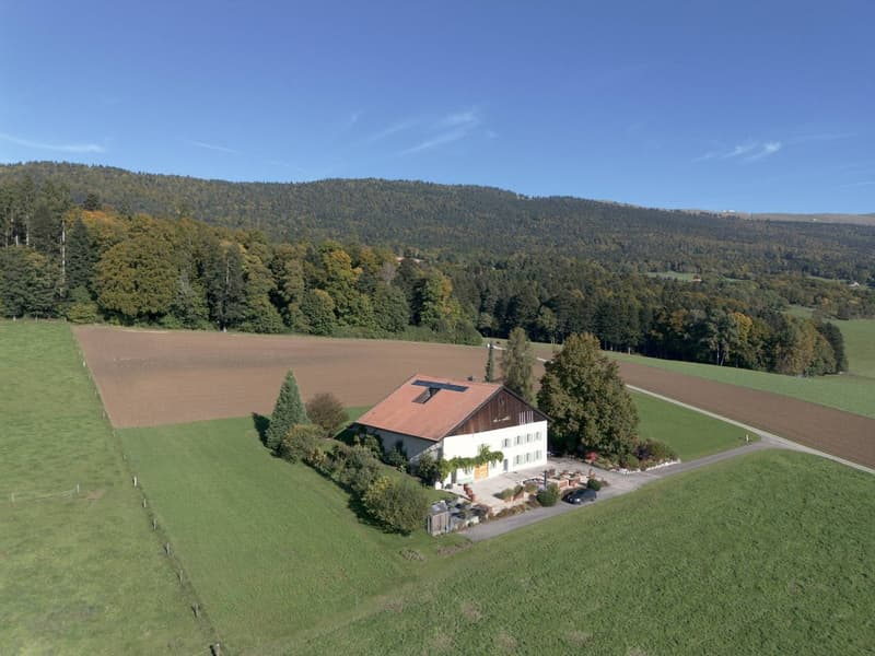 Authentique propriété rurale dans l'environnement du Chasseral (11)