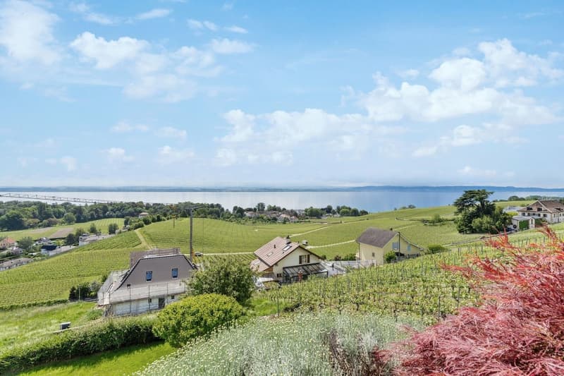 Un art de vivre exclusif vous attend (1)