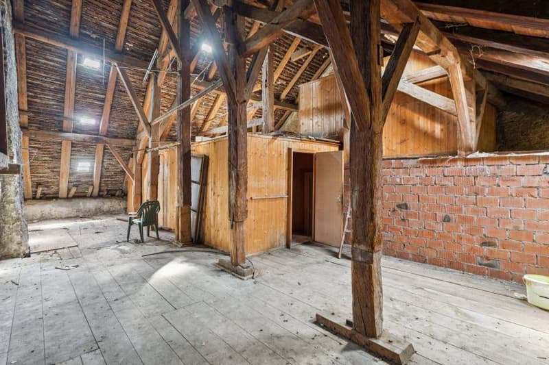 A 17th-century building to be transformed according to your ambitions (10)