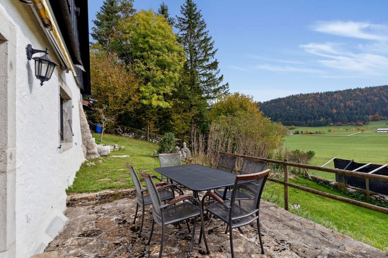 Authentisches Neuenburger Bauernhaus am Rande von Feldern (7)