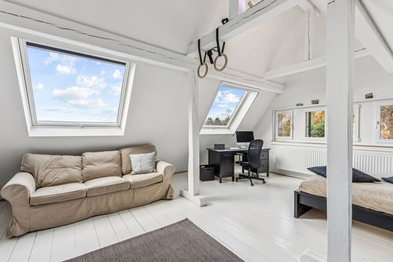 Exclusive property with feet in the water on the shores of Lake Neuchâtel! (5)