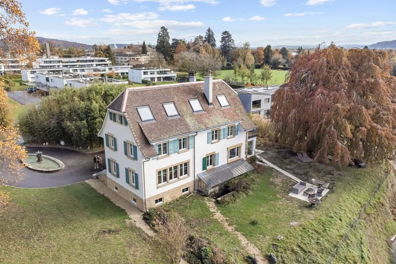 Exclusive property with feet in the water on the shores of Lake Neuchâtel! (3)