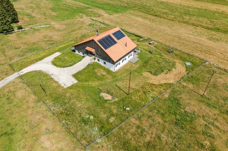 Sublime ferme entièrement rénovée composée de 2 appartements (2)