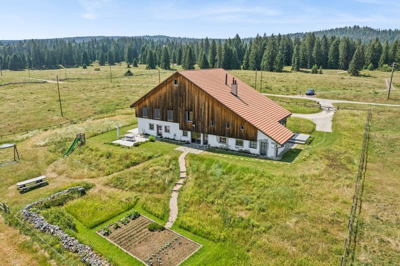Sublime ferme entièrement rénovée composée de 2 appartements (1)
