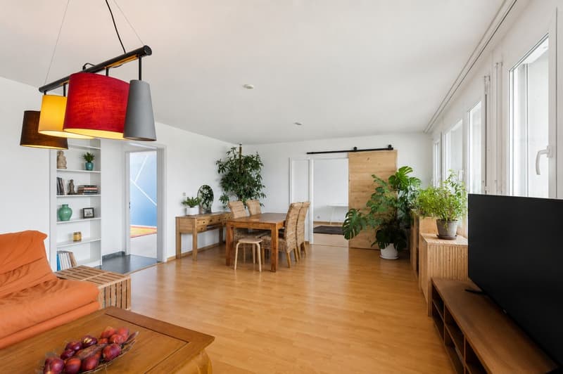 Spacieux appartement de 5.5 pièces au dernier étage avec terrasse et 2 (2)