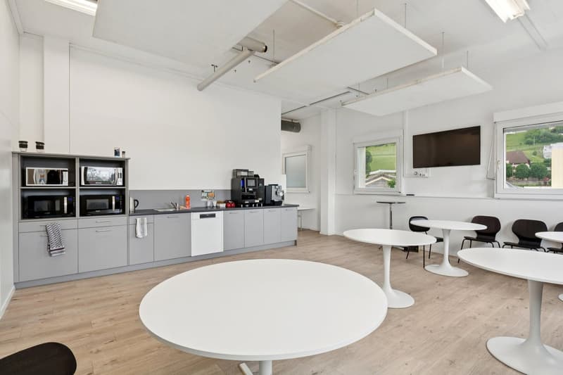 Immeuble industriel de rendement entièrement loué - Opportunité d'inve (6)