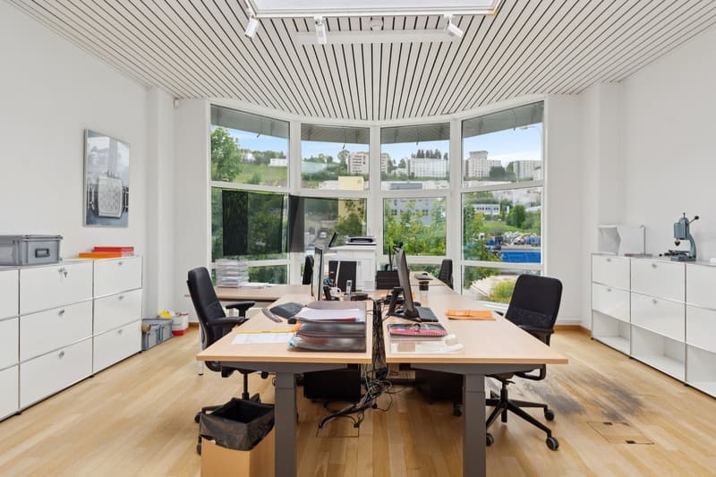 Immeuble industriel de rendement entièrement loué - Opportunité d'inve (3)