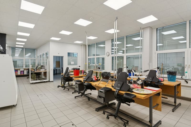 Immeuble industriel de rendement entièrement loué - Opportunité d'inve (8)