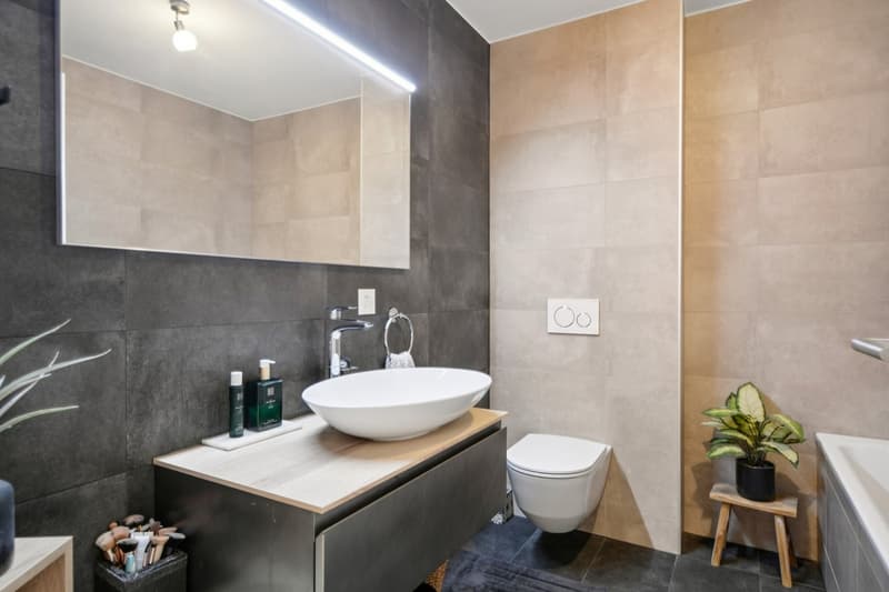 Appartement 4.5 pièces de standing dans le quartier du Bois du Petit C (8)