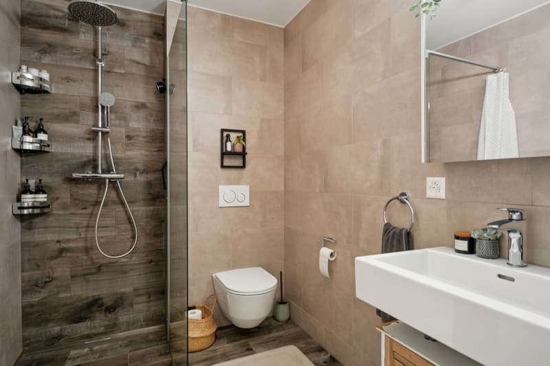 Appartement 4.5 pièces de standing dans le quartier du Bois du Petit C (10)