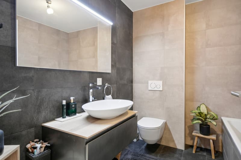 Appartement 4.5 pièces de standing dans le quartier du Bois du Petit C (8)