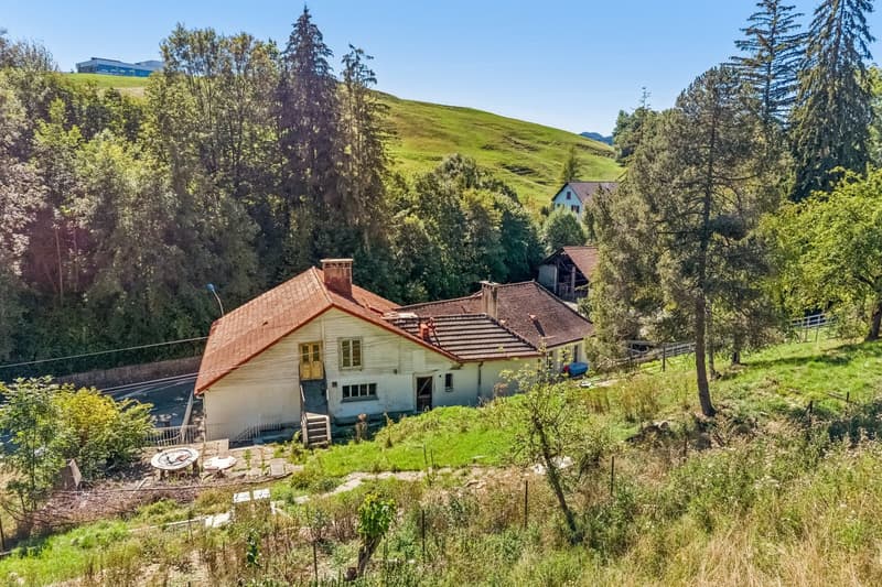 Immeuble à fort potentiel de transformation au Locle (9)