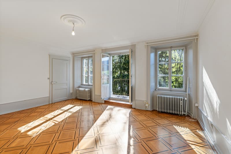 Elégante maison de Maître composée de 3 appartements offrant 2 box à c (7)