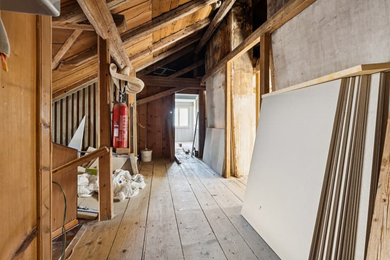 Elégante maison de Maître composée de 3 appartements offrant 2 box à c (11)