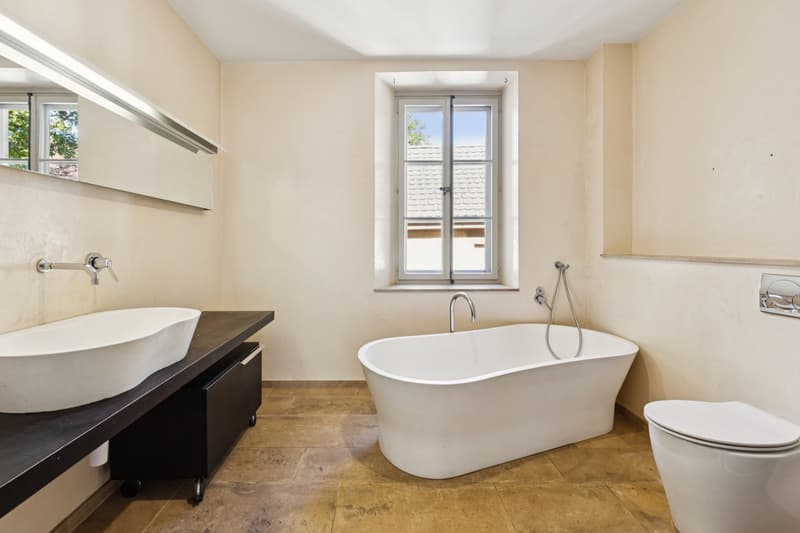 Elégante maison de Maître composée de 3 appartements offrant 2 box à c (10)