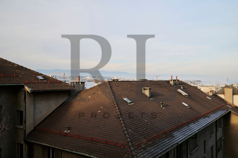 The image shows a view of rooftops in a city. The roofs are covered with brown tiles and there are several chimneys and dormer windows visible. In the background, there are some high-rise buildings and mountains can be seen in the distance.