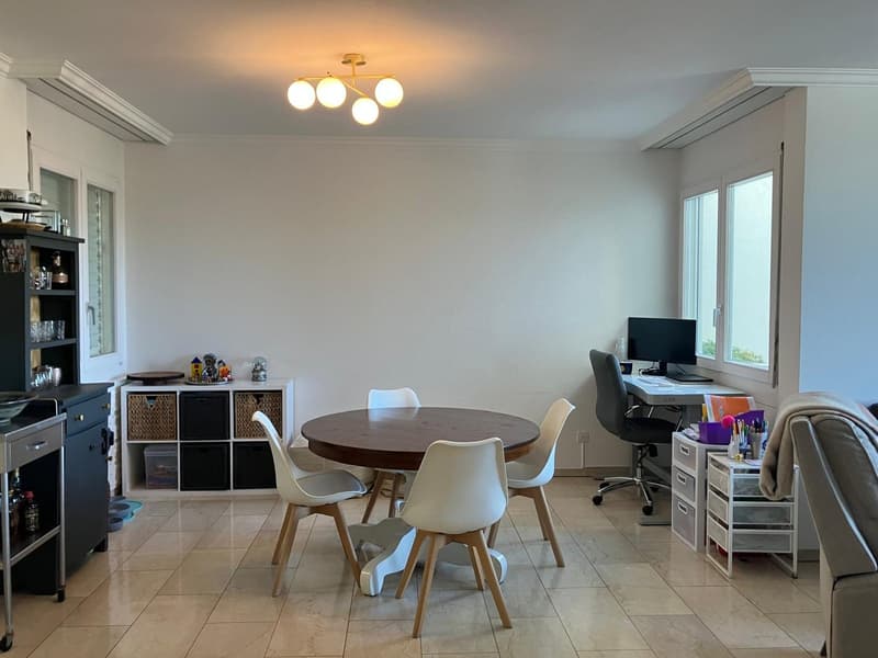 Sensationeller Seesicht  in grosszügige 5.5-Zimmer-Wohnung (5)