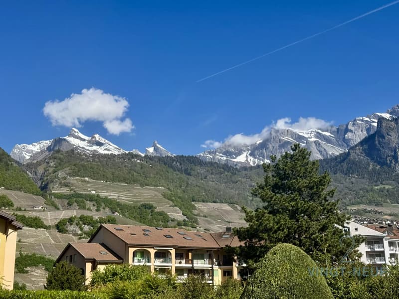 Spacious duplex at "Les Bains de Saillon" (2)