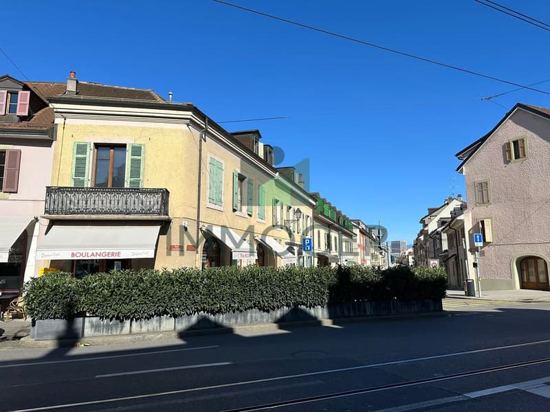 EXCLUSIF ET RARE : PETIT IMMEUBLE MIXTE DANS LE VIEUX CAROUGE (3)