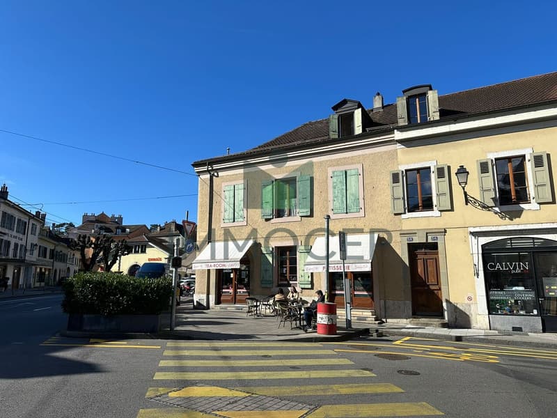 EXCLUSIF ET RARE : PETIT IMMEUBLE MIXTE DANS LE VIEUX CAROUGE (5)