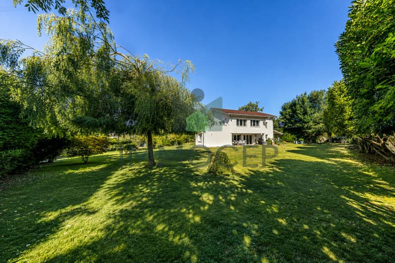 Villa individuelle 5 chambres spacieuses et grand terrain à Founex (1)