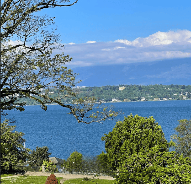 Exceptional city facing the lake (1)
