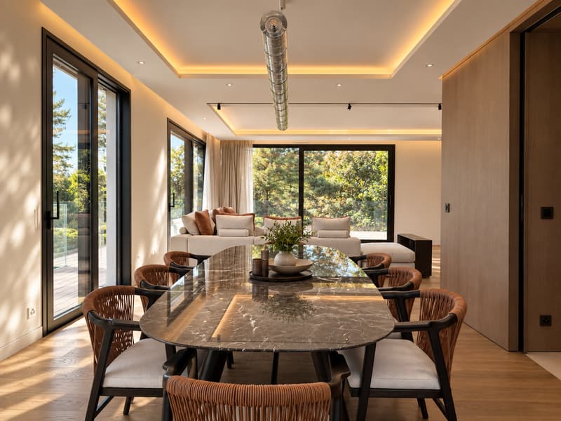Penthouse d'exception - Vue Mont-Blanc (3)