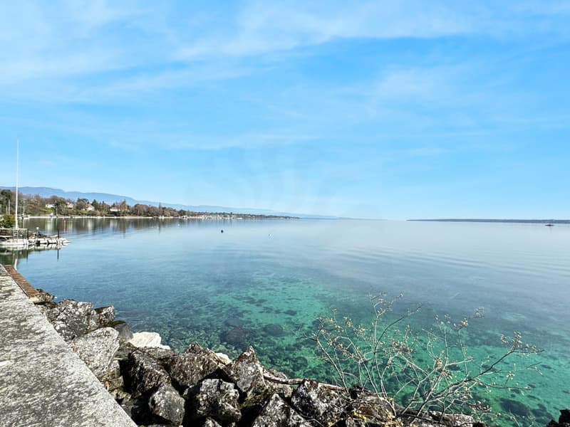 Co-Exclusive: Charming Waterfront House with Private Harbour (4)