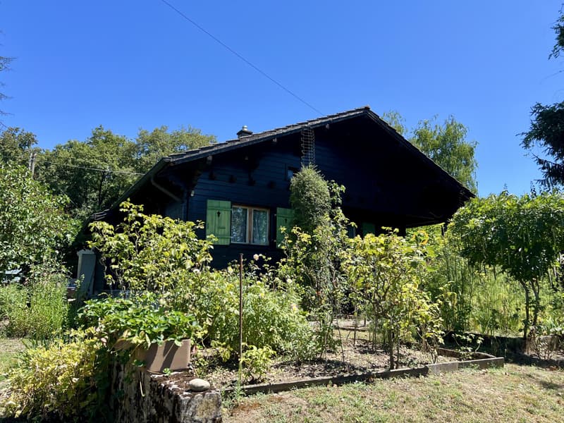 Exclusive: Single-family house with garden of over 3000 m2 (11)