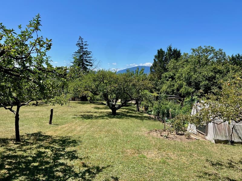 Exclusive: Single-family house with garden of over 3000 m2 (13)
