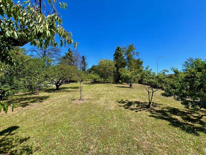 Exclusive: Single-family house with garden of over 3000 m2 (12)