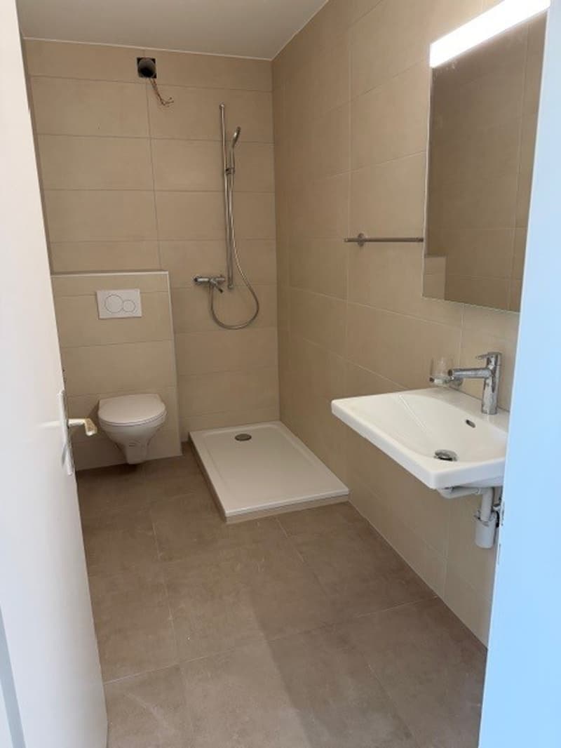 small bathroom with a toilet, shower, sink and mirror