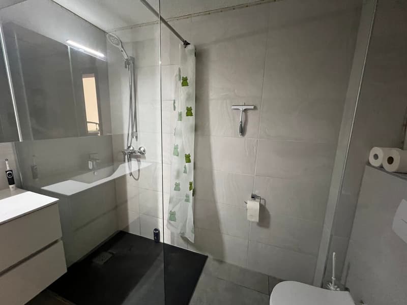 Two rental buildings in Courgenay (5)