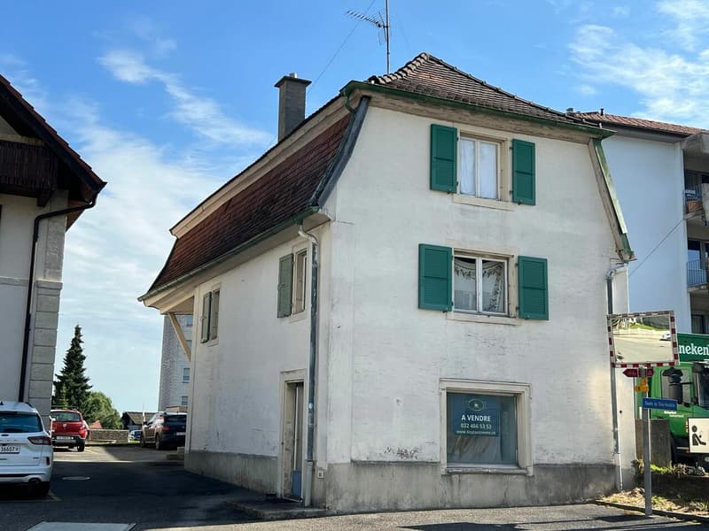 House to renovate with possibility of creating several apartments (1)