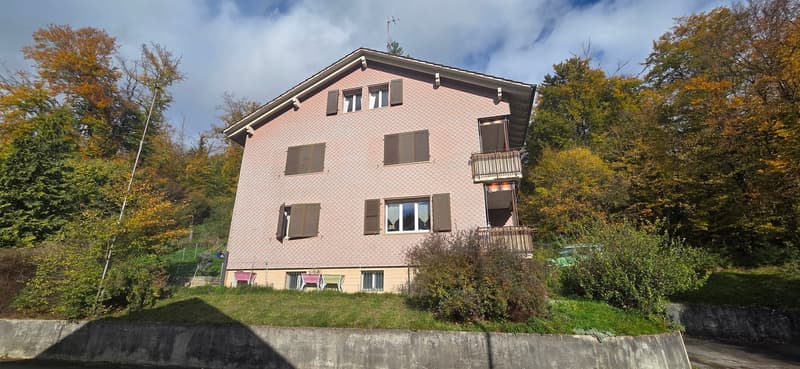 Rental building with 3 apartments and 1'400m2 green area (12)