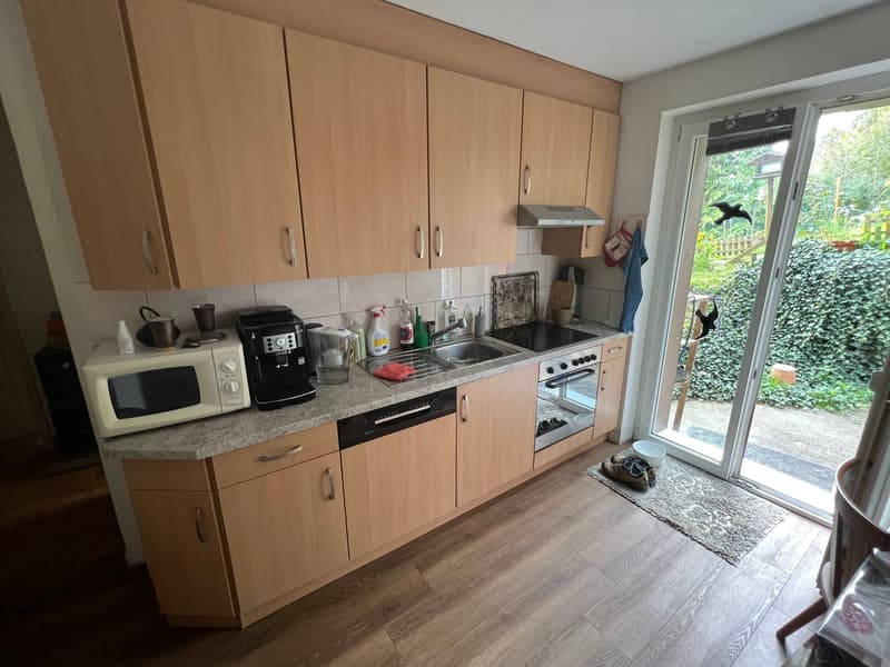 Rental building with 3 apartments and 1'400m2 green area (6)