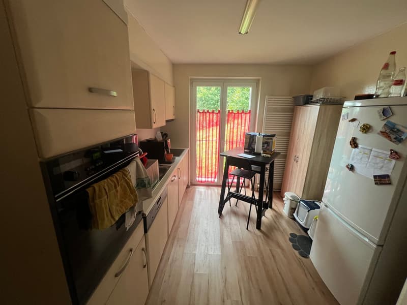 Rental building with 3 apartments and 1'400m2 green area (8)