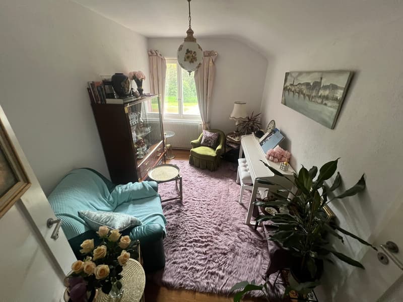 Rental building with 3 apartments and 1'400m2 green area (3)