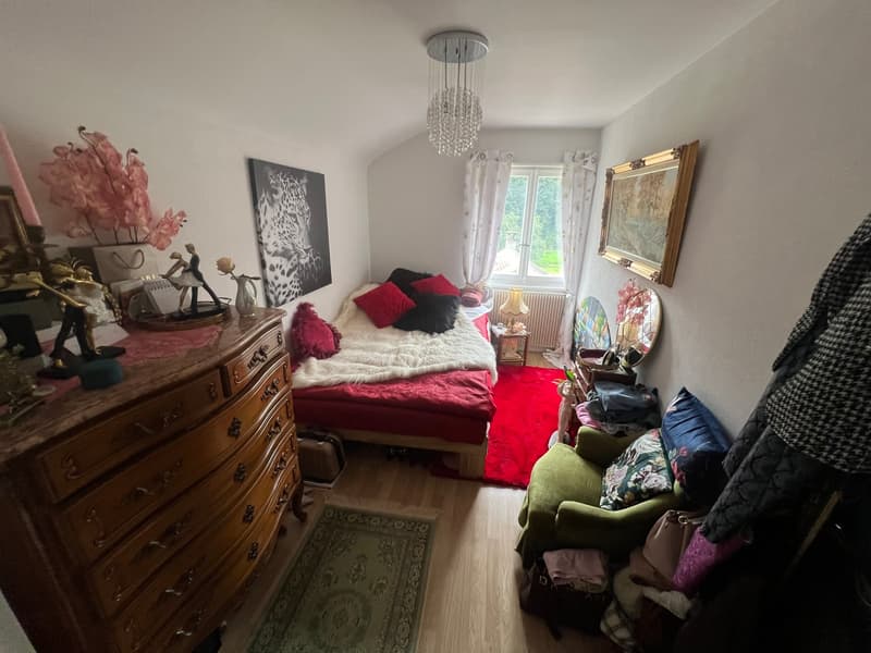 Rental building with 3 apartments and 1'400m2 green area (2)