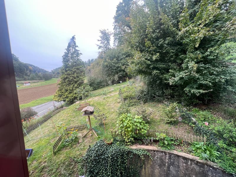 Rental building with 3 apartments and 1'400m2 green area (11)