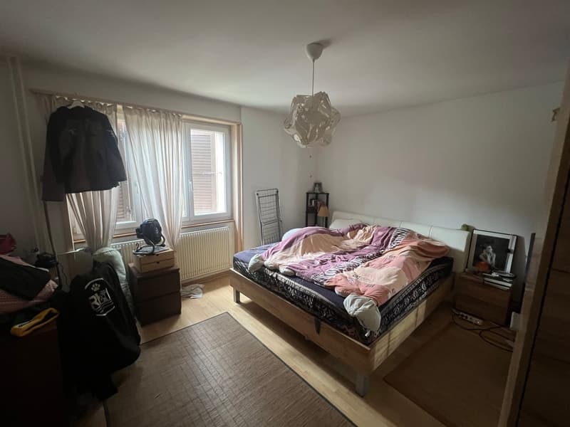 Rental building with 3 apartments and 1'400m2 green area (5)