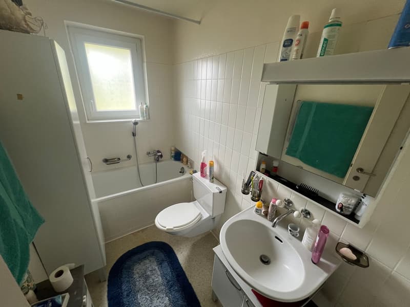 Rental building with 3 apartments and 1'400m2 green area (4)
