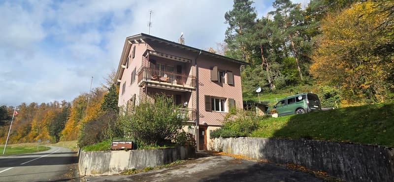 Rental building with 3 apartments and 1'400m2 green area (1)