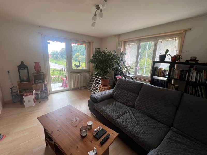 Rental building with 3 apartments and 1'400m2 green area (9)