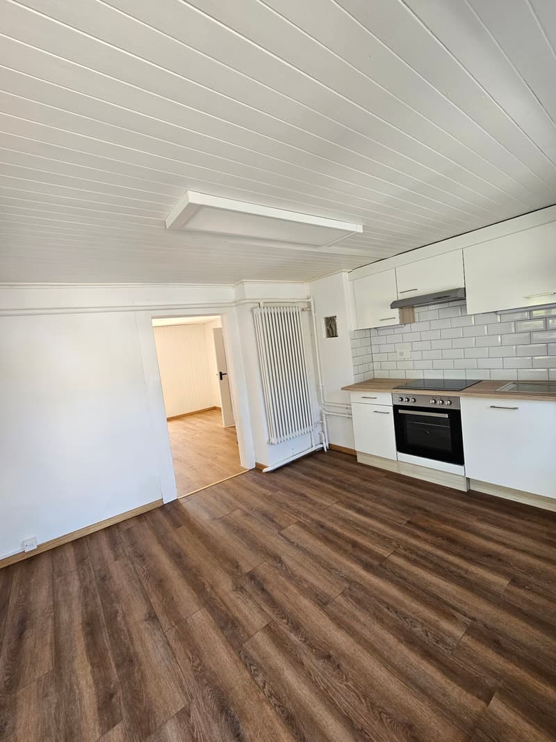 Open-concept living space with hardwood-style flooring, white walls, and a kitchen area with a built-in dishwasher and oven. The ceiling has white paneling and a recessed light fixture. There is a radiator visible in the room as well.