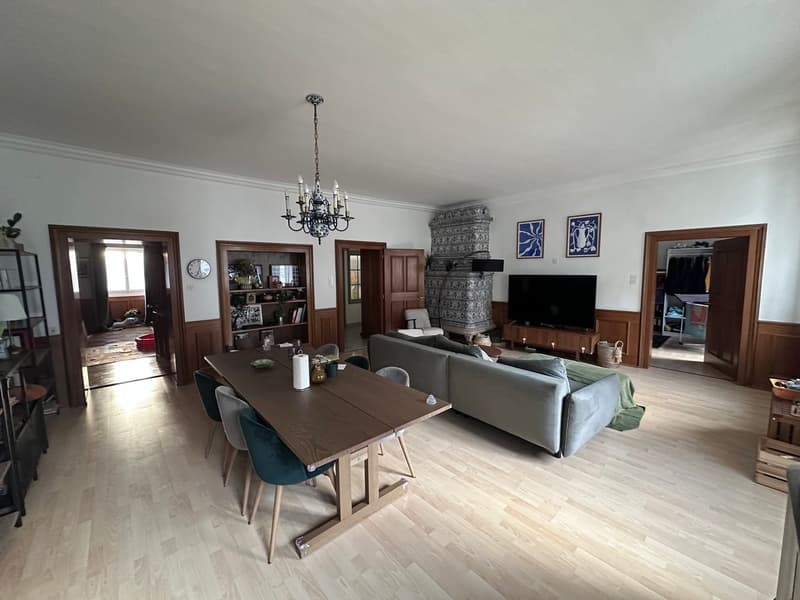A louer magnifique appartement 5.5 pièces (2)