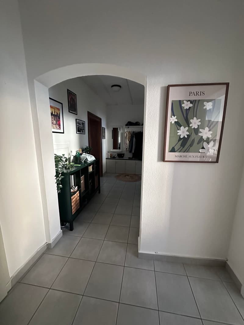 A louer magnifique appartement 5.5 pièces (8)