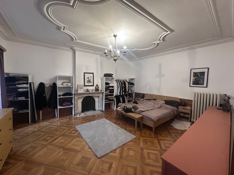 A louer magnifique appartement 5.5 pièces (6)