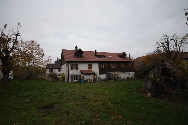 Immobilio di rendita completamente affittato (14)