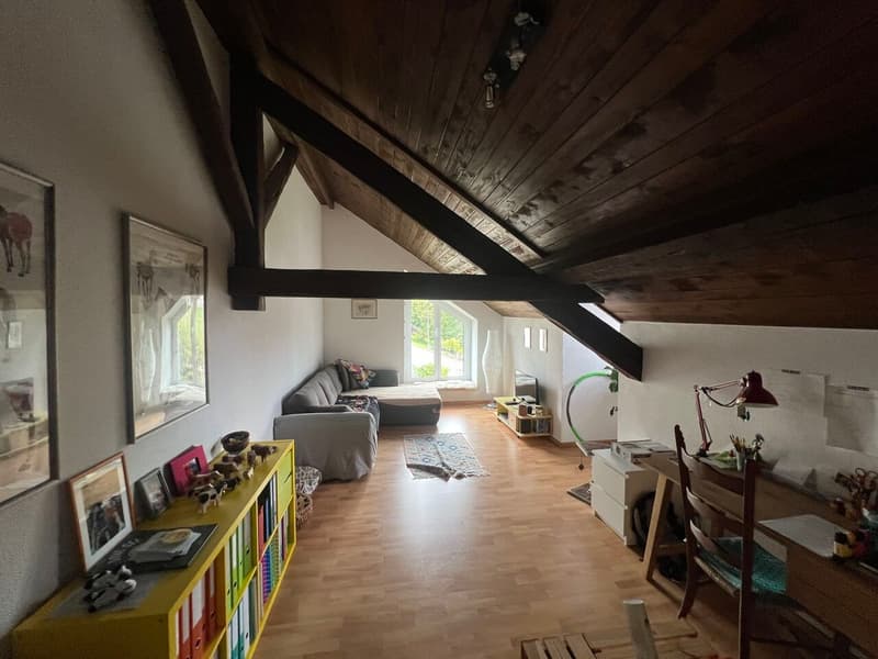 Immobilio di rendita completamente affittato (3)